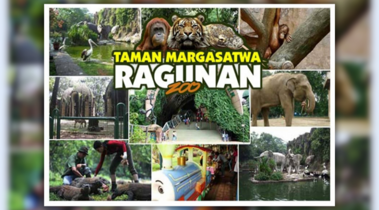 80 ribu pengunjung menjadi target Taman Margasatwa Ragunan